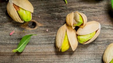 راه‌های جلوگیری از کرم زدن پسته