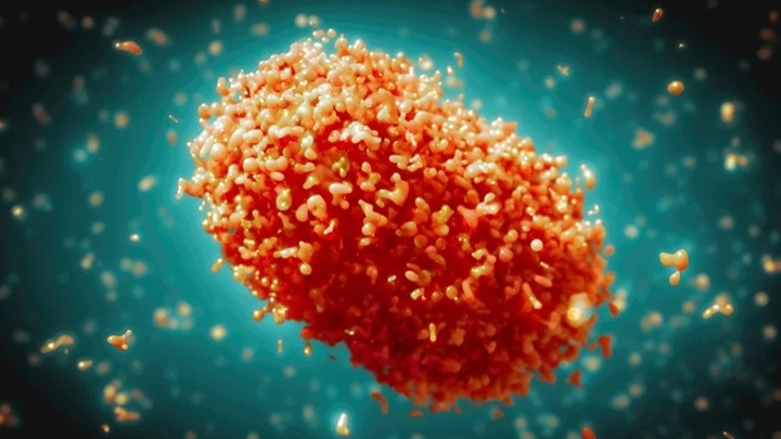 علائم آبله میمون علائم آبله میمون