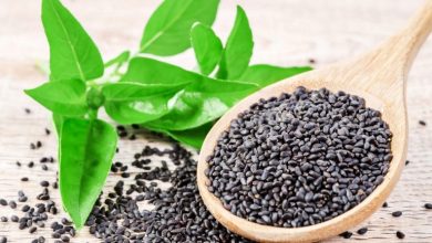 خواص بی‌نظیر تخم شربتی برای سلامت قلب و مغز کودکان