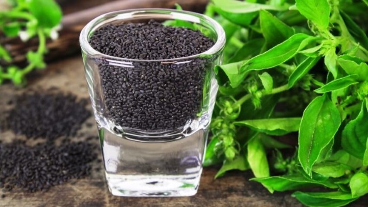 فواید تخم شربتی برای تقویت هوش کودکان