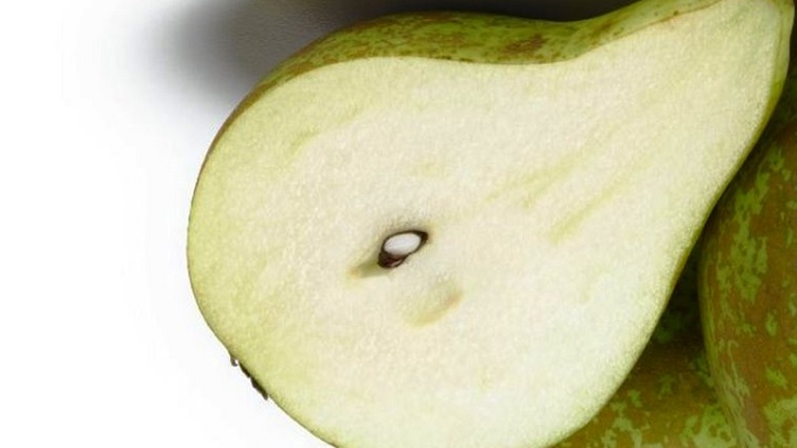 خواص دانه گلابی خواص دانه گلابی