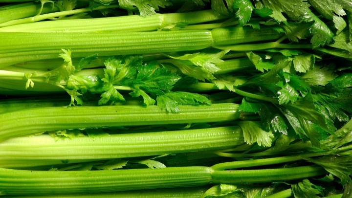 کرفس؛ کاهشدهنده تب کودکان کرفس؛ کاهشدهنده تب کودکان