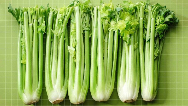 فواید کرفس برای کودکان فواید کرفس برای کودکان