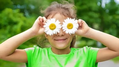 خواص بابونه برای کودکان؛ از بهبود گوارش تا درمان مشکلات پوستی