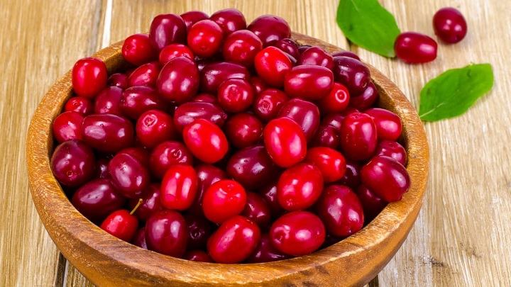 بهترین زمان مصرف زغال اخته بهترین زمان مصرف زغال اخته