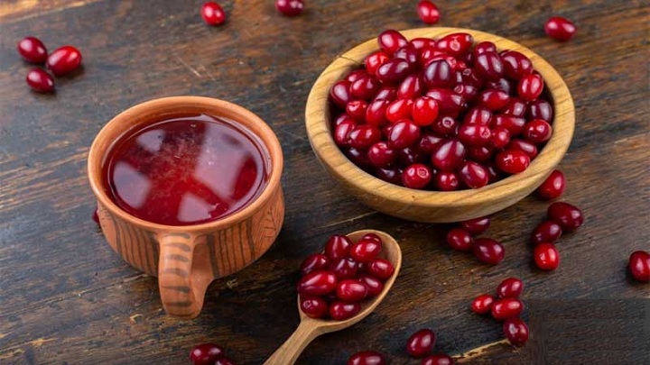 خواص زغال اخته برای معده خواص زغال اخته برای معده