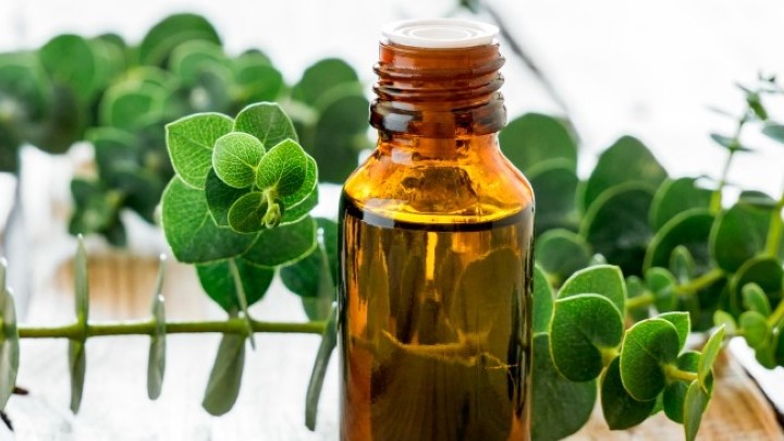 پاک کردن لکه ضد آفتاب از روی لباس با استفاده روغن اوکالیپتوس پاک کردن لکه ضد آفتاب از روی لباس با استفاده روغن اوکالیپتوس