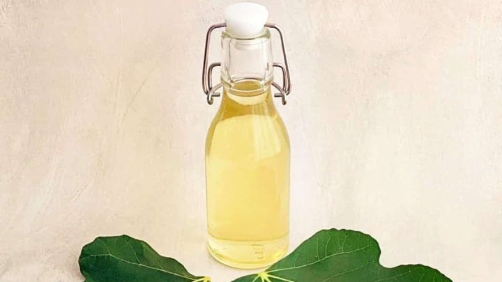 چه زمانی بهتر است چای برگ انجیر بنوشیم؟ چه زمانی بهتر است چای برگ انجیر بنوشیم؟