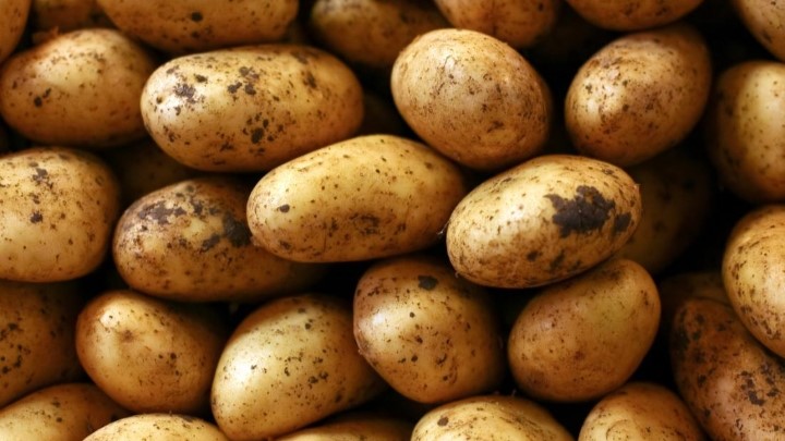 فواید سیب زمینی برای کودکان فواید سیب زمینی برای کودکان