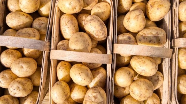 خواص سیب زمینی برای کودکان خواص سیب زمینی برای کودکان