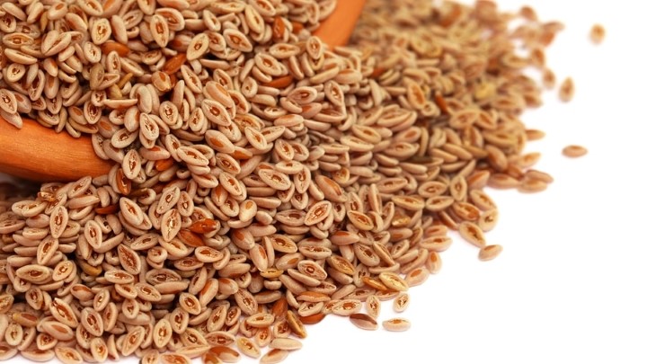 خواص لعاب اسفرزه (پسیلیوم) برای زیبایی پوست و مو