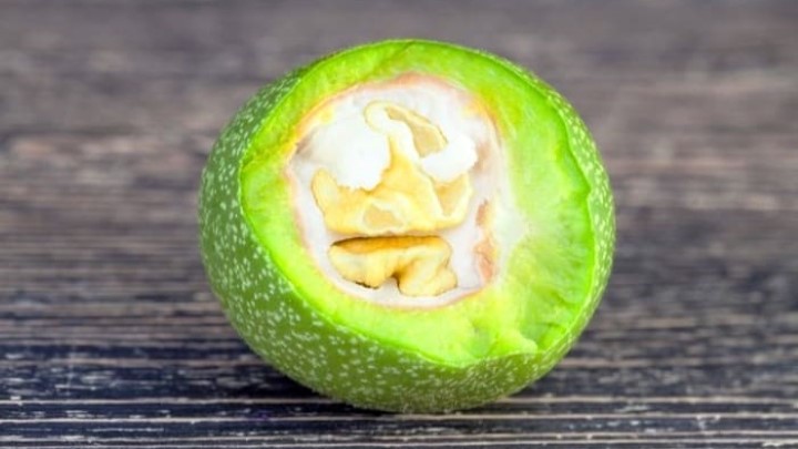 چگونه لکههای سیاه گردو را از روی دست پاک کنیم؟ چگونه لکههای سیاه گردو را از روی دست پاک کنیم؟