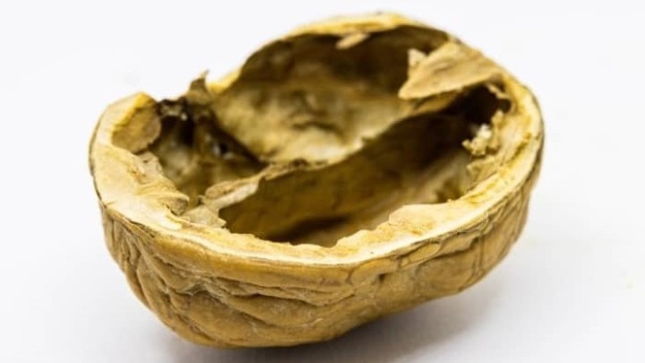 طریقه پوست کندن گردو تازه بدون سیاه شدن دست طریقه پوست کندن گردو تازه بدون سیاه شدن دست