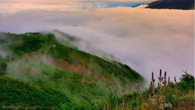 شهریور ماه کجای شمال بریم؟ 10 جای جذاب و دیدنی