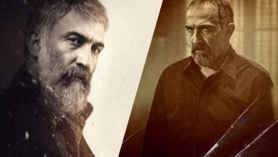 ردپای "پوست شیر" در سریال "داریوش"؛ شباهت‌های بین آن‌ها