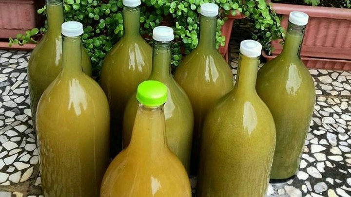 افزایش چربی سوزی از خواص آبغوره برای کبد چرب افزایش چربی سوزی از خواص آبغوره برای کبد چرب