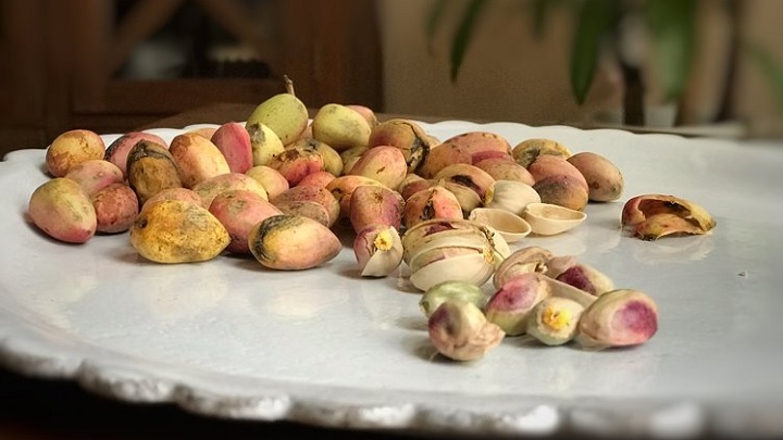 برای درمان کبد چرب از چه مقدار پسته خام استفاده کنیم؟