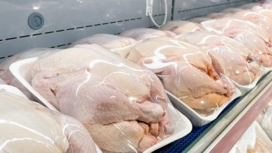 بهترین وزن برای خرید؛ مرغ کوچک بگیریم یا بزرگ؟