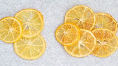 لیمو نباتی؛ شکلی نو از لذتهای شیرین