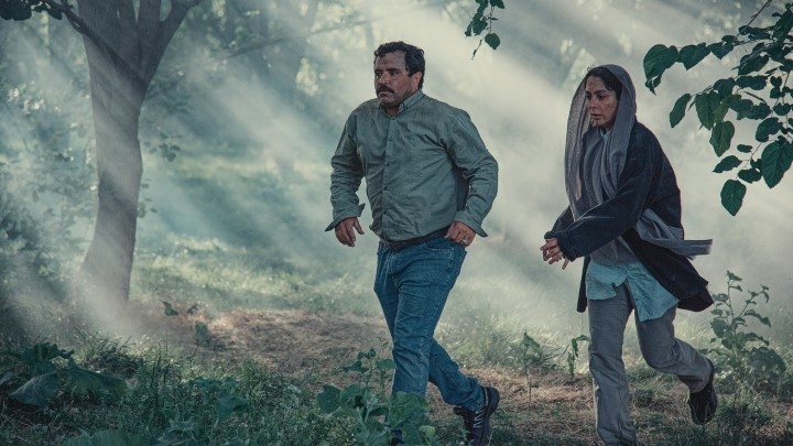 فیلم «در آغوش درخت» (In the Arms of the Tree) فیلم «در آغوش درخت» (In the Arms of the Tree)