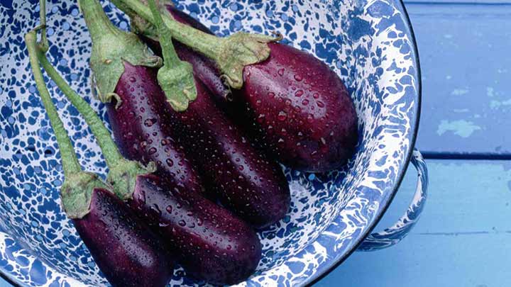 روشهای درمان حساسیت به بادمجان روشهای درمان حساسیت به بادمجان