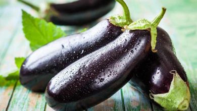 بهترین روش فریز کردن بادمجان خام که باید بدانید