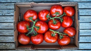 4 ترفند تضمینی نگهداری طولانی‌مدت گوجه فرنگی تازه