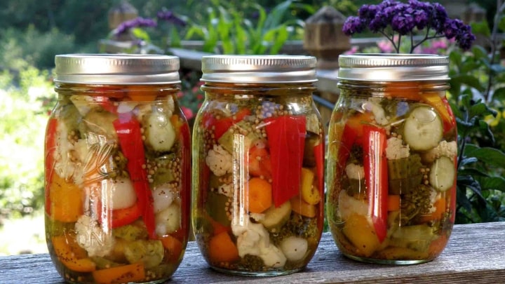 نگهداری شور