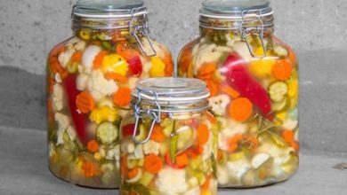 طرز تهیه شور با سرکه سیب؛ طعمی ملایم و خاص