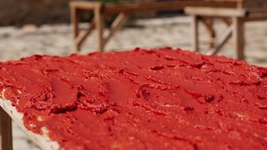 تا حالا با آفتاب رب پختید؟ (طرز تهیه رب خانگی با آفتاب)