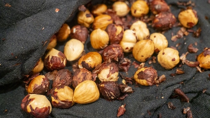 مراحل کاشت فندق تازه در گلدان مراحل کاشت فندق تازه در گلدان