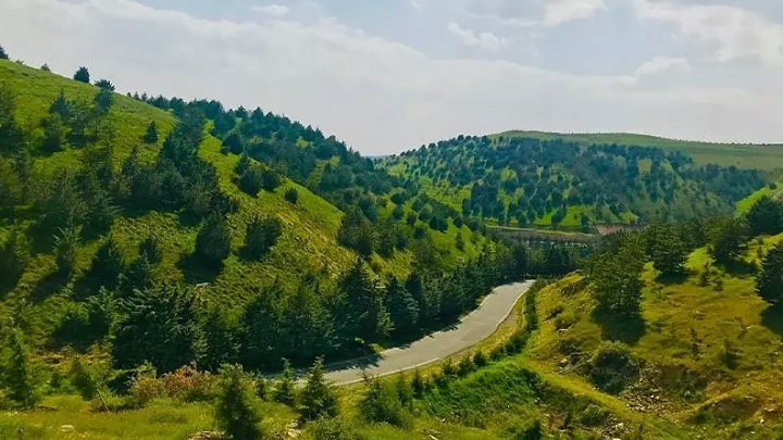 پارک جنگلی تلو از جاهای دیدنی لواسان