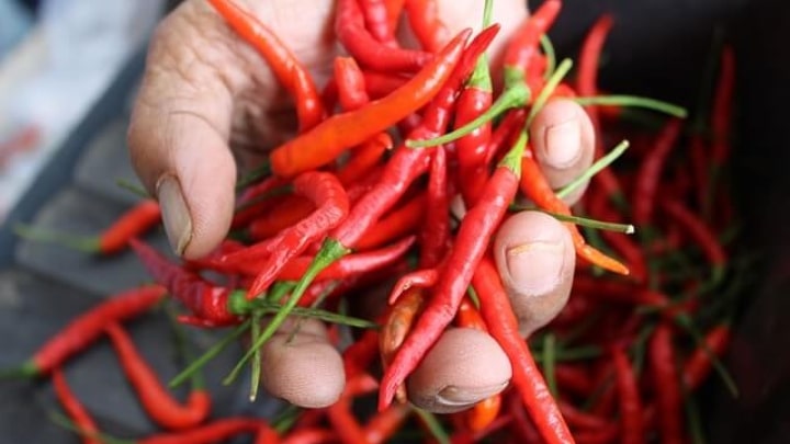 نحوه تهیه و استفاده از ماسک مو فلفل قرمز و عسل برای رشد مو