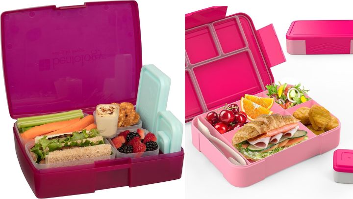 انواع مدل ظرف غذای مدرسه و مهد کودک برای کودکان