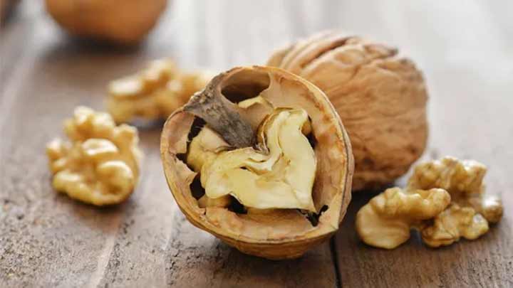 همراهان گردو را فراموش نکنید همراهان گردو را فراموش نکنید