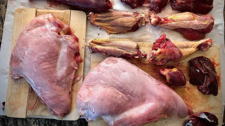 چگونه مصرف نیترات‌ها را در رژیم غذایی خود متعادل کنید