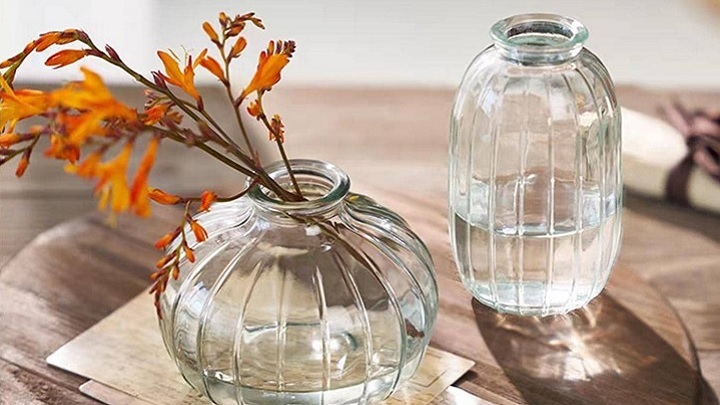 با گلدان‌های شیشه‌ای، فضای خانه‌تان را شخصی‌سازی کنید