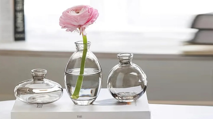 با گلدان‌های شیشه‌ای، یک باغچه کوچک روی میز کارتان داشته باشید