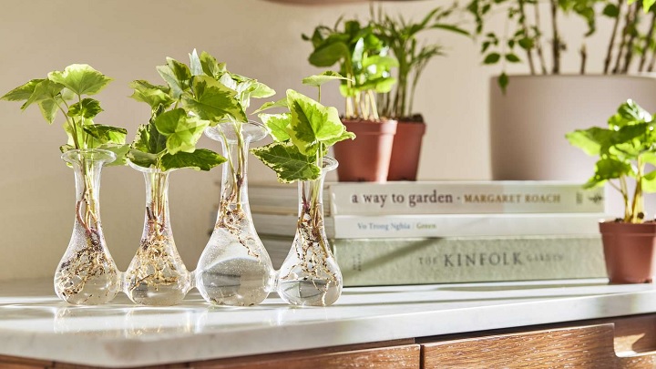 ایده‌هایی برای ساخت گلدان‌های شیشه‌ای با وسایل دور ریختنی