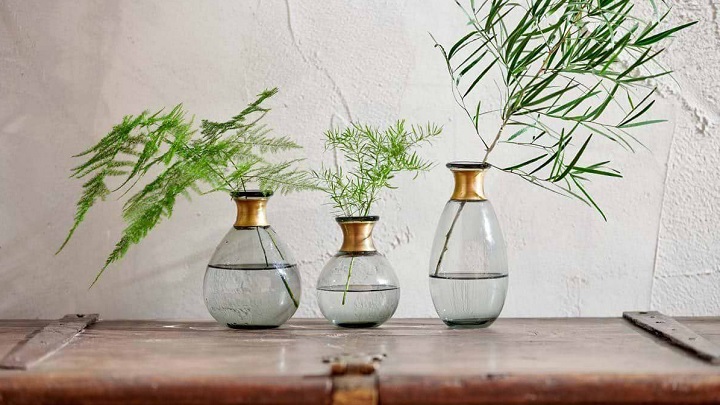 گلدان‌های شیشه‌ای: اکسسوری‌های شیک برای هر فضایی
