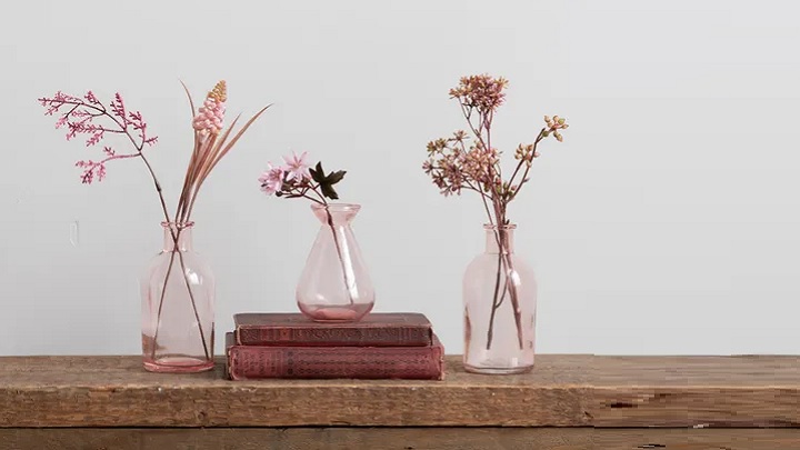 گلدان‌های شیشه‌ای: راهی آسان برای داشتن گیاهان آپارتمانی