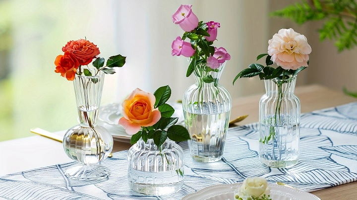 گلدان‌های شیشه‌ای: یک پروژه سرگرم‌کننده برای تمام سنین