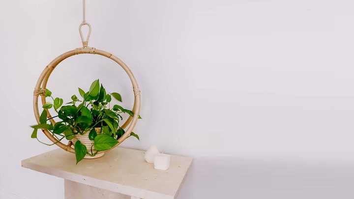 جدیدترین مدل‌های گلدان حصیری آویز