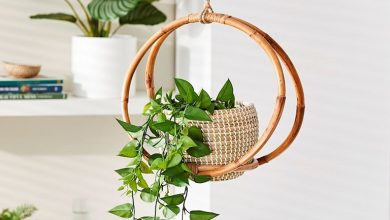 جدیدترین مدل‌های گلدان چوبی آویز حصیری + نکاتی که باید بدانید