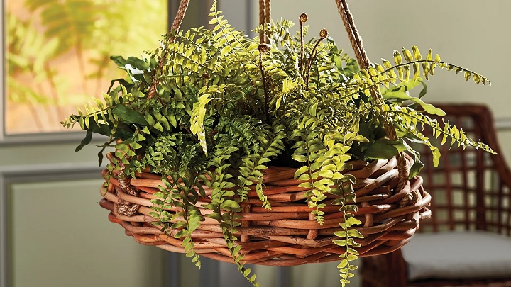 جدیدترین مدل‌های گلدان حصیری آویز