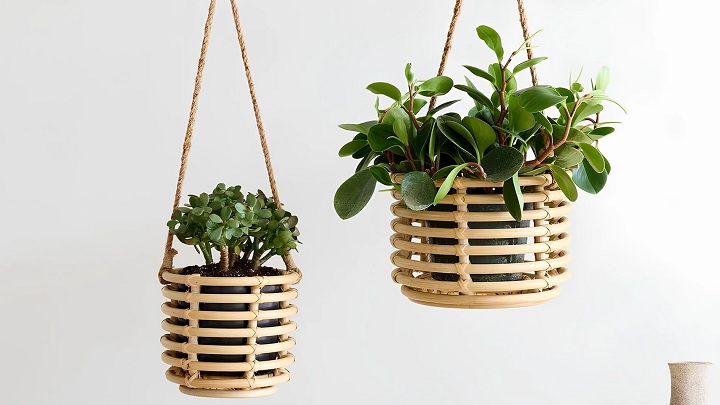 جدیدترین مدل‌های گلدان حصیری آویز