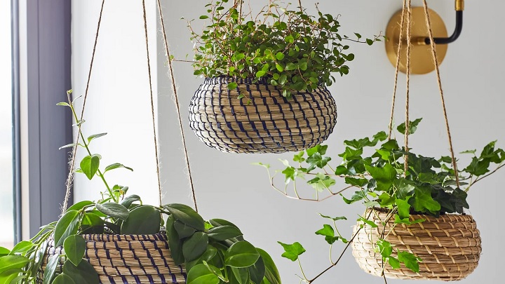 جدیدترین مدل‌های گلدان حصیری آویز