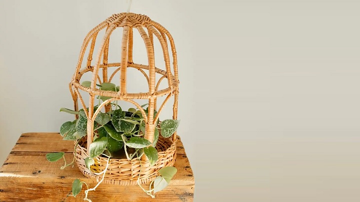 جدیدترین مدل‌های گلدان حصیری آویز