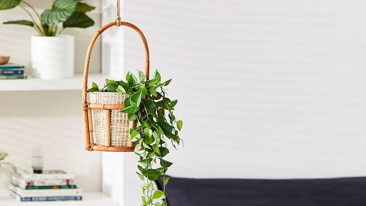 جدیدترین مدل‌های گلدان حصیری آویز