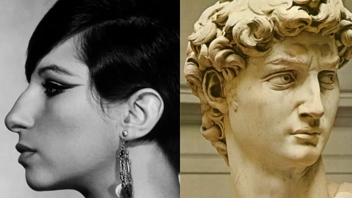 شخصیت شناسی مدل بینی رومی شخصیت شناسی مدل بینی رومی